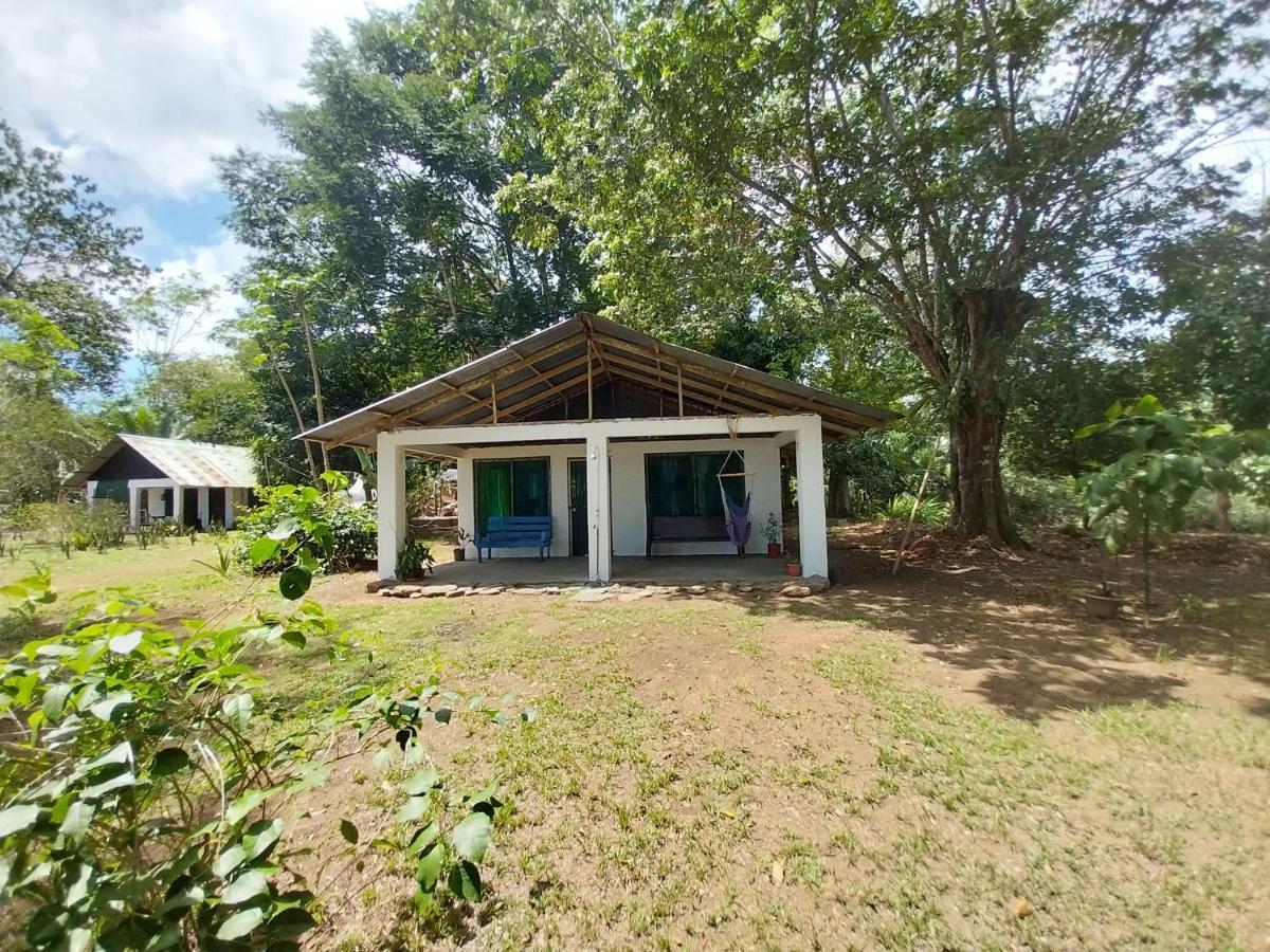 Villa Happy Monkeys Puerto Jiménez Exterior foto