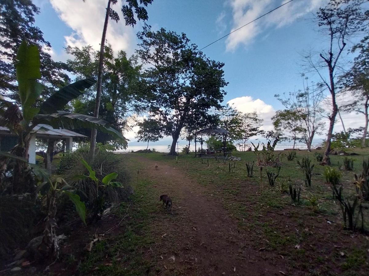 Villa Happy Monkeys Puerto Jiménez Exterior foto
