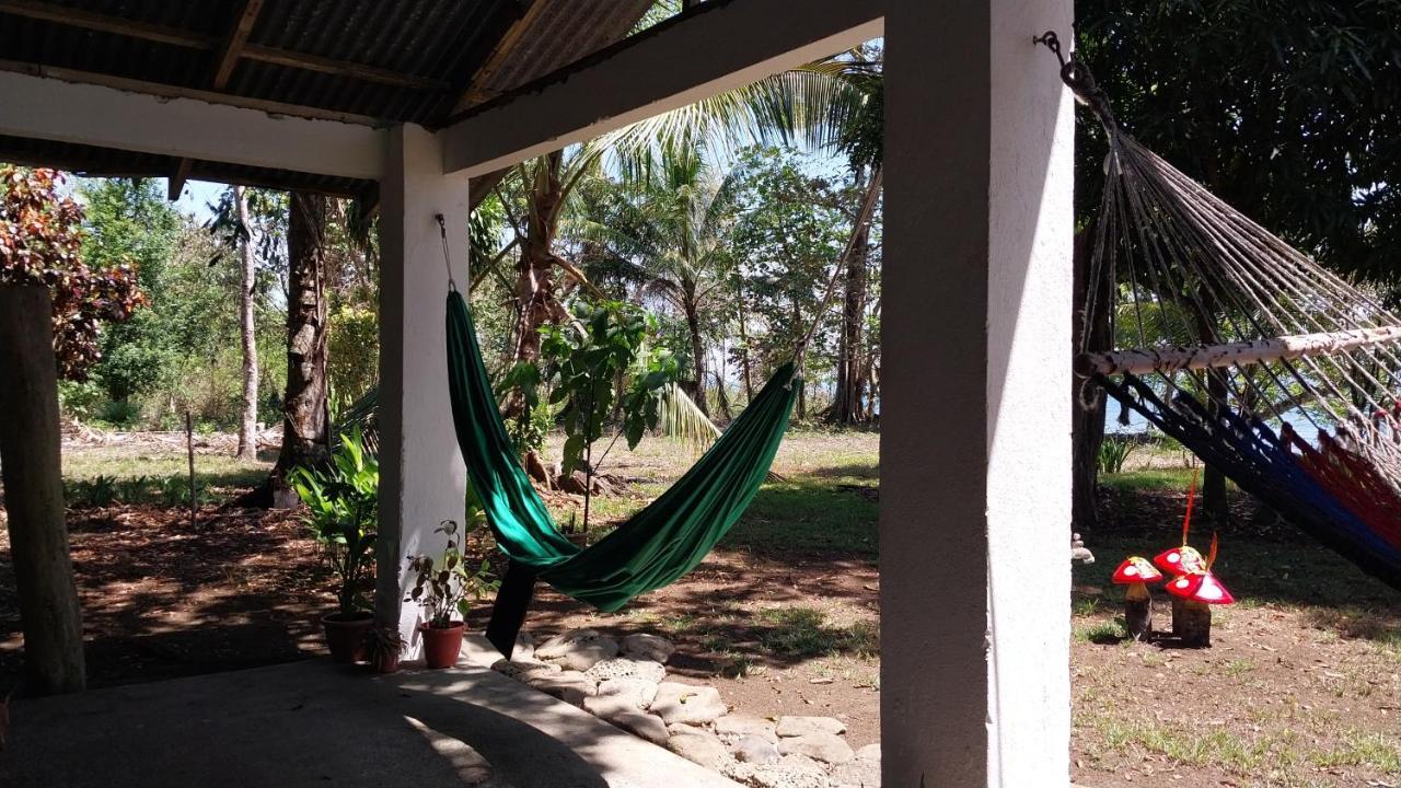 Villa Happy Monkeys Puerto Jiménez Exterior foto