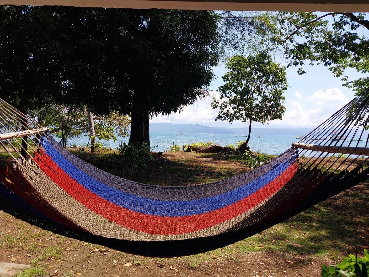 Villa Happy Monkeys Puerto Jiménez Exterior foto